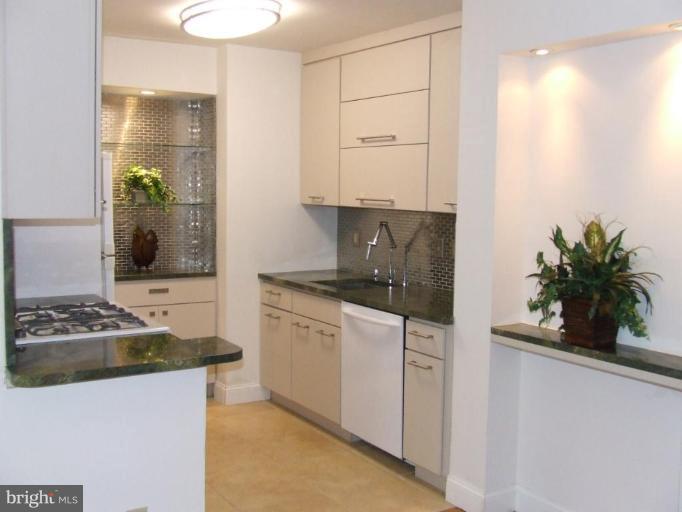 429 N Street Southwest, Unit S101 Washington, DC 20024 - Photo 3 of 19 Kitchen #2