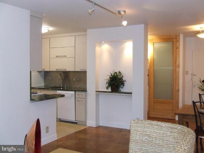 429 N Street Southwest, Unit S101 Washington, DC 20024 - Photo 4 of 19 Kitchen #3