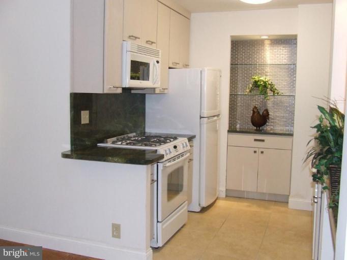 429 N Street Southwest, Unit S101 Washington, DC 20024 - Photo 5 of 19 kitchen