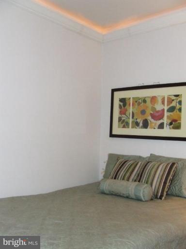 429 N Street Southwest, Unit S101 Washington, DC 20024 - Photo 7 of 19 tray lighting