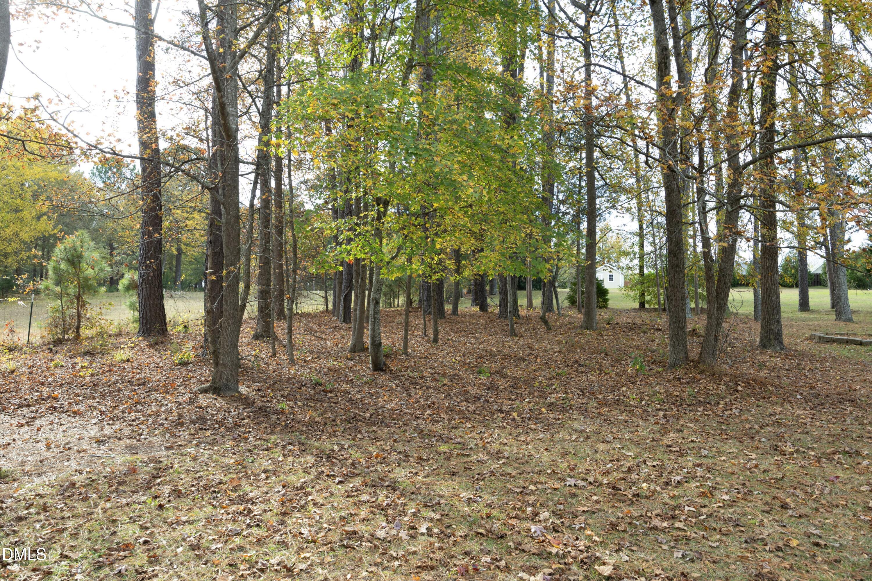 6120 Catandpolly Lane Raleigh, NC 27603 - Photo 32 of 36 a view of outdoor space with lots of trees