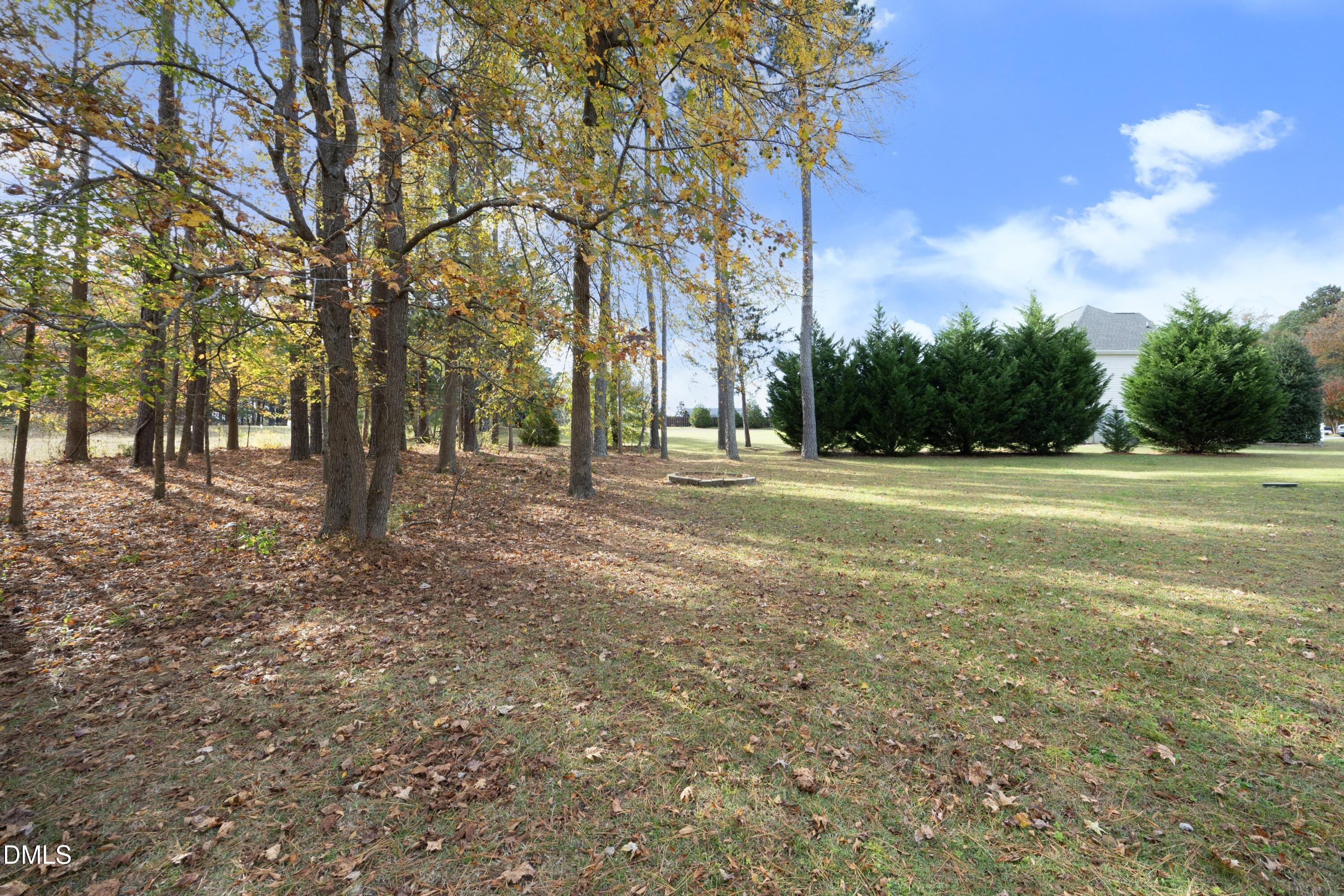 6120 Catandpolly Lane Raleigh, NC 27603 - Photo 8 of 36 a view of a trees in a yard