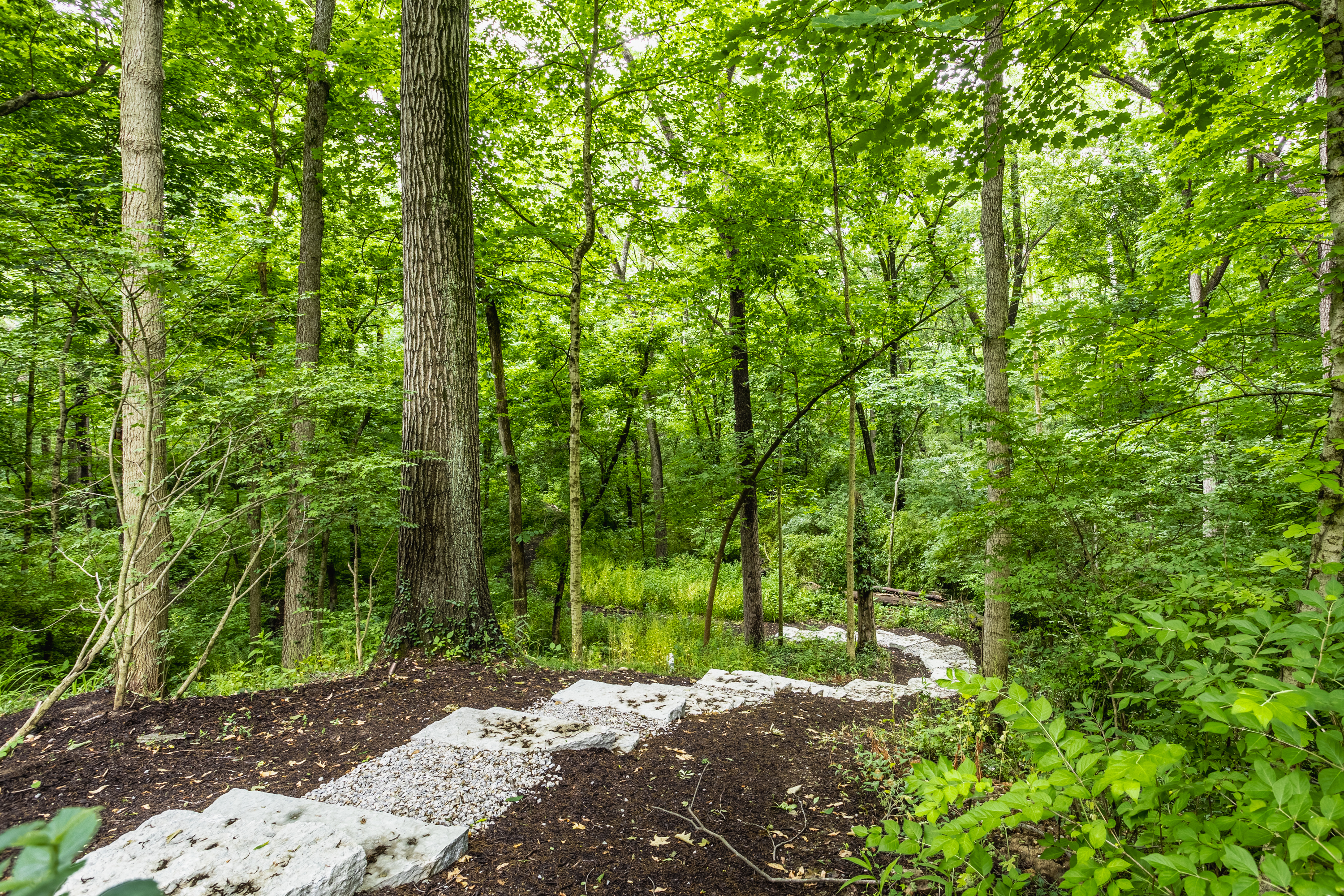 3 Confindential Road Indianapolis, IN 46240 - Photo 2 of 2