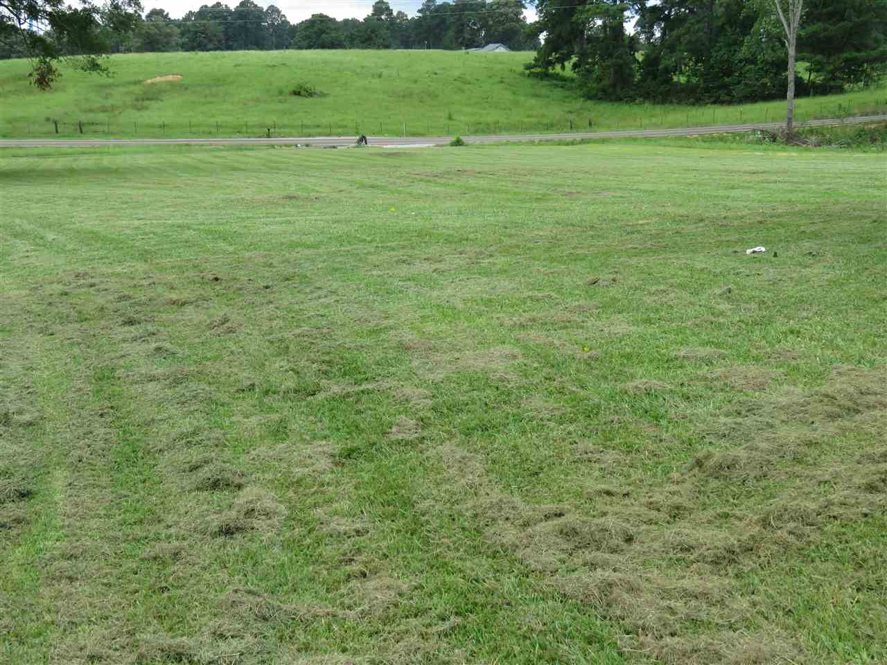 525 County Line Road Mendenhall, MS 39114 - Photo 9 of 31 Photo 10