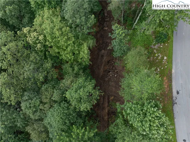 a view of a street with a tree