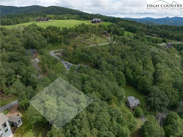 an aerial view of green landscape with trees houses and mountain view