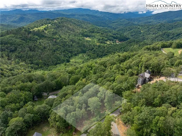 a view of a lush green forest with trees and some houses