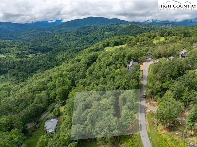 a view of a lush green forest with trees and houses