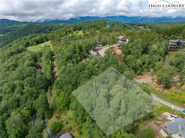 a view of a field with a tree