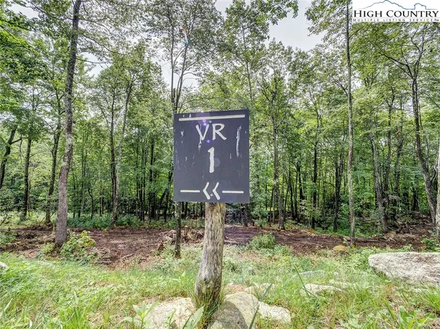 a house view with a backyard space