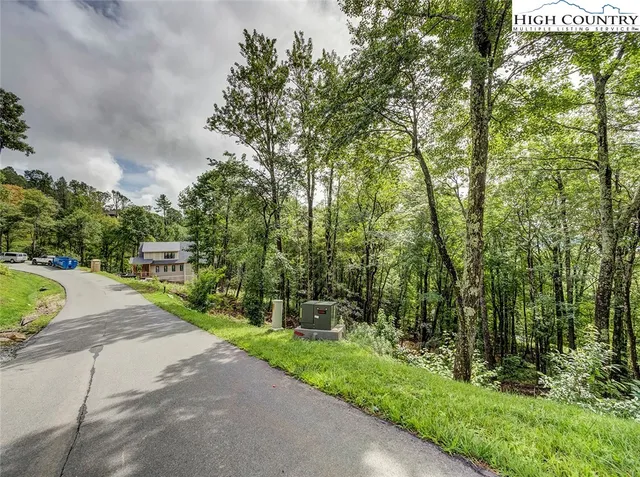 a view of a garden with a bench in a garden