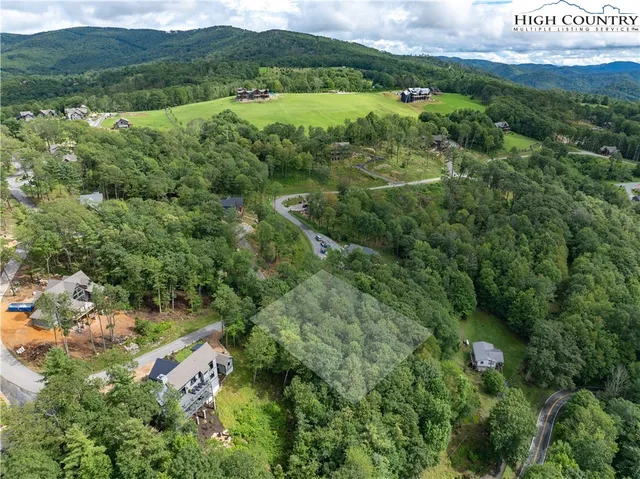 a view of a lush green forest with lots of trees