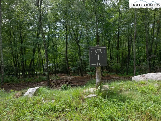 a backyard of a house with lots of green space and trees all around