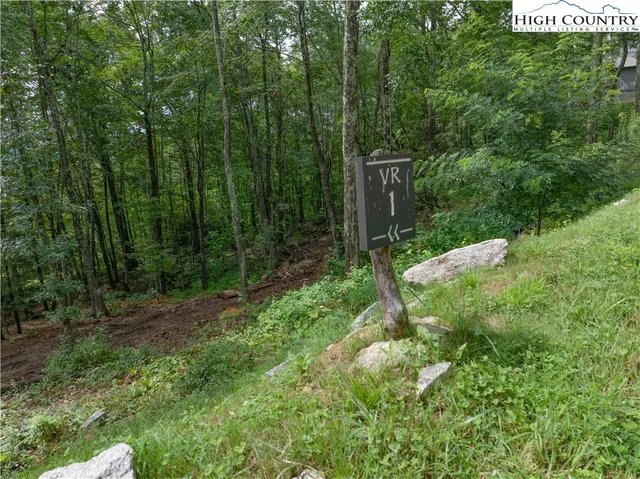 a view of backyard with green space