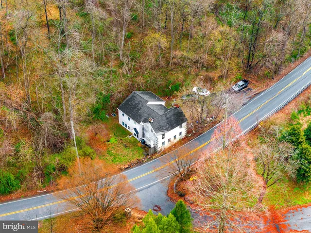 a view of a yard with plants