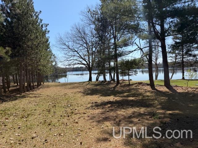W9168 Town Corner Lake Road Pembine, WI 54156 - Photo 17 of 17