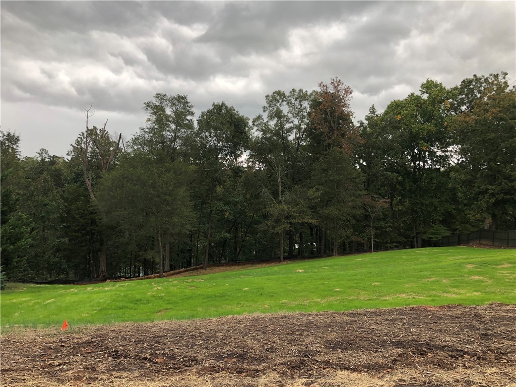 314 Huntington Road Anderson, SC 29626 - Photo 10 of 17 Gallery Image 10