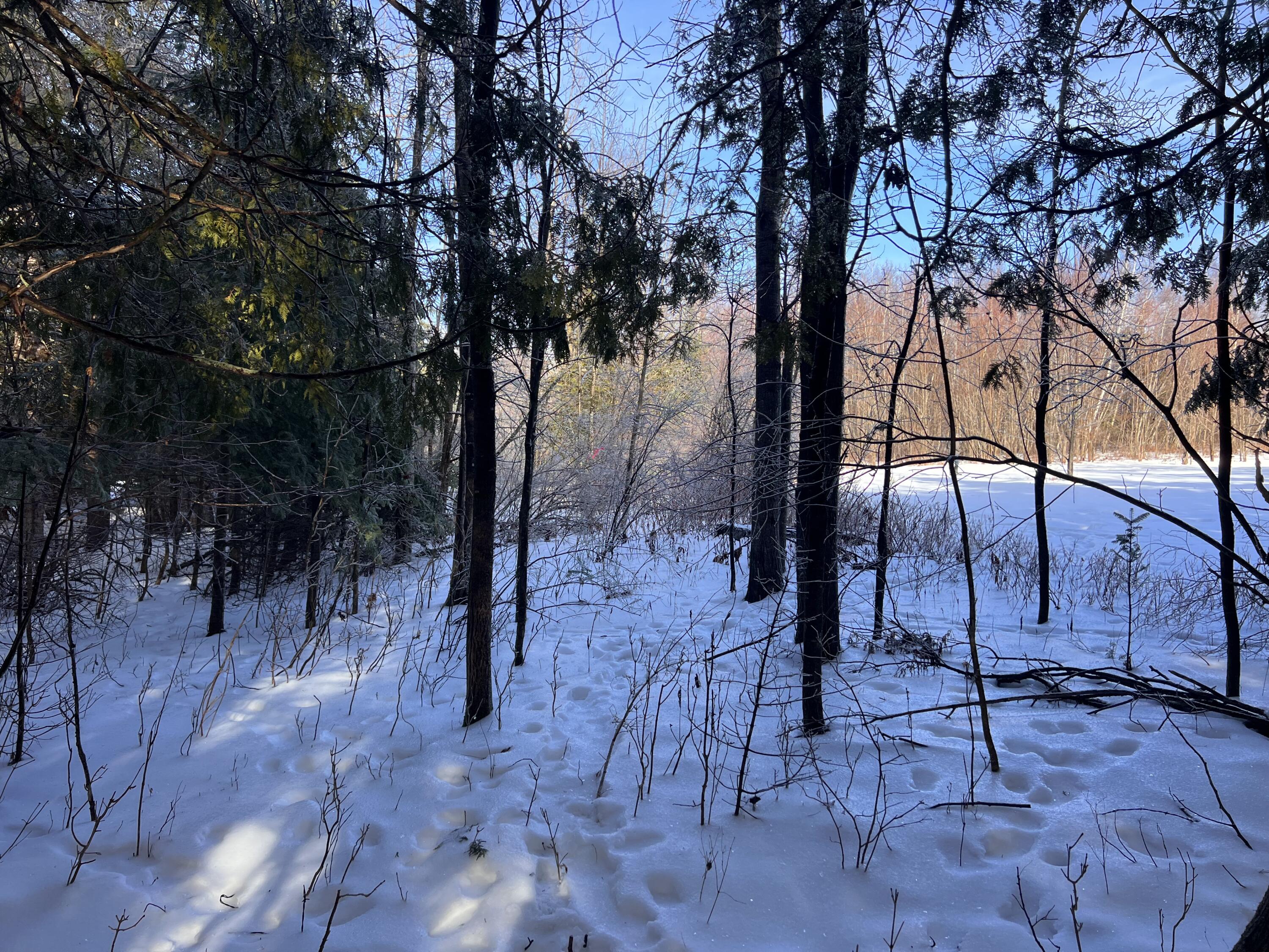 712 Ward Hill Road Troy, ME 04987 - Photo 13 of 39 IMG_9252