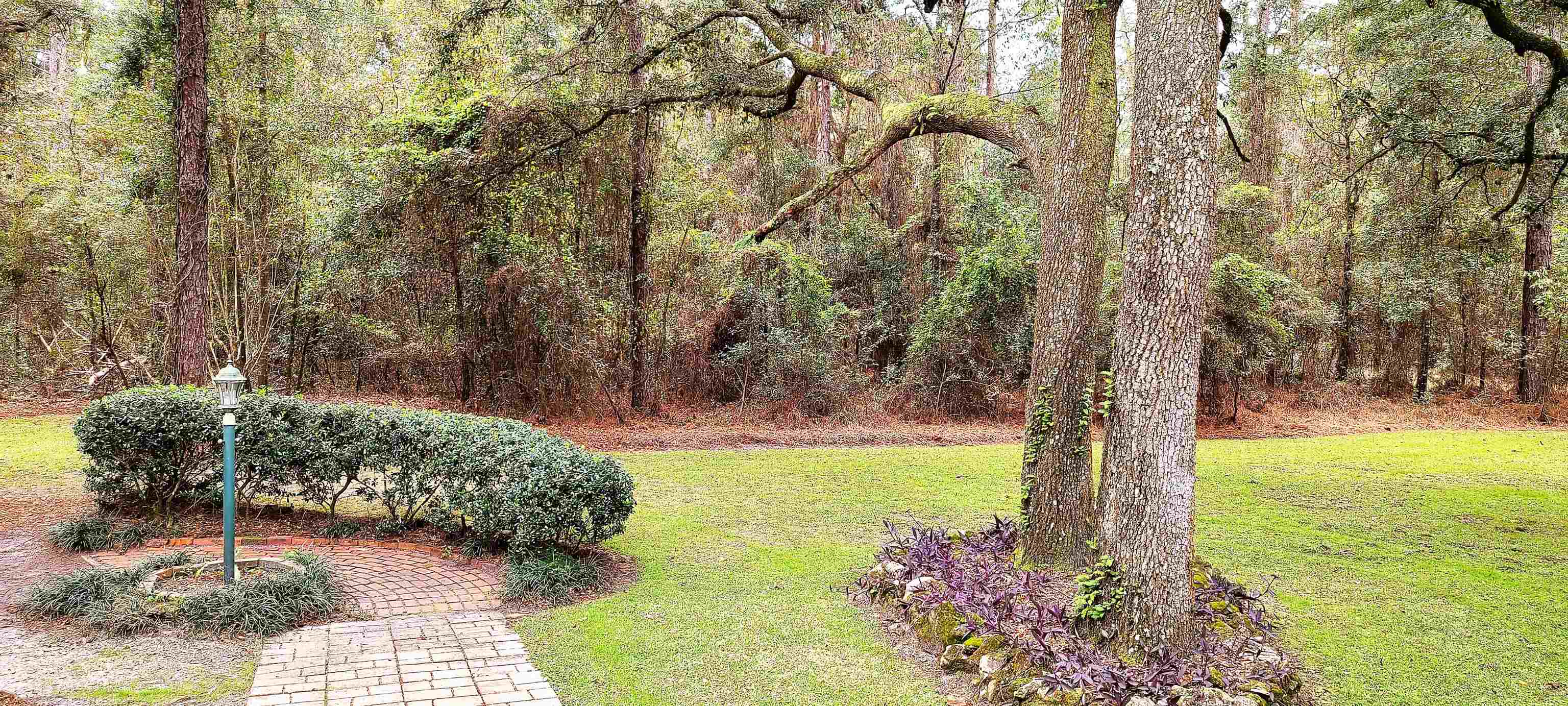 22945 Roxie Road Live Oak, FL 32060 - Photo 17 of 36 Gallery Image 17