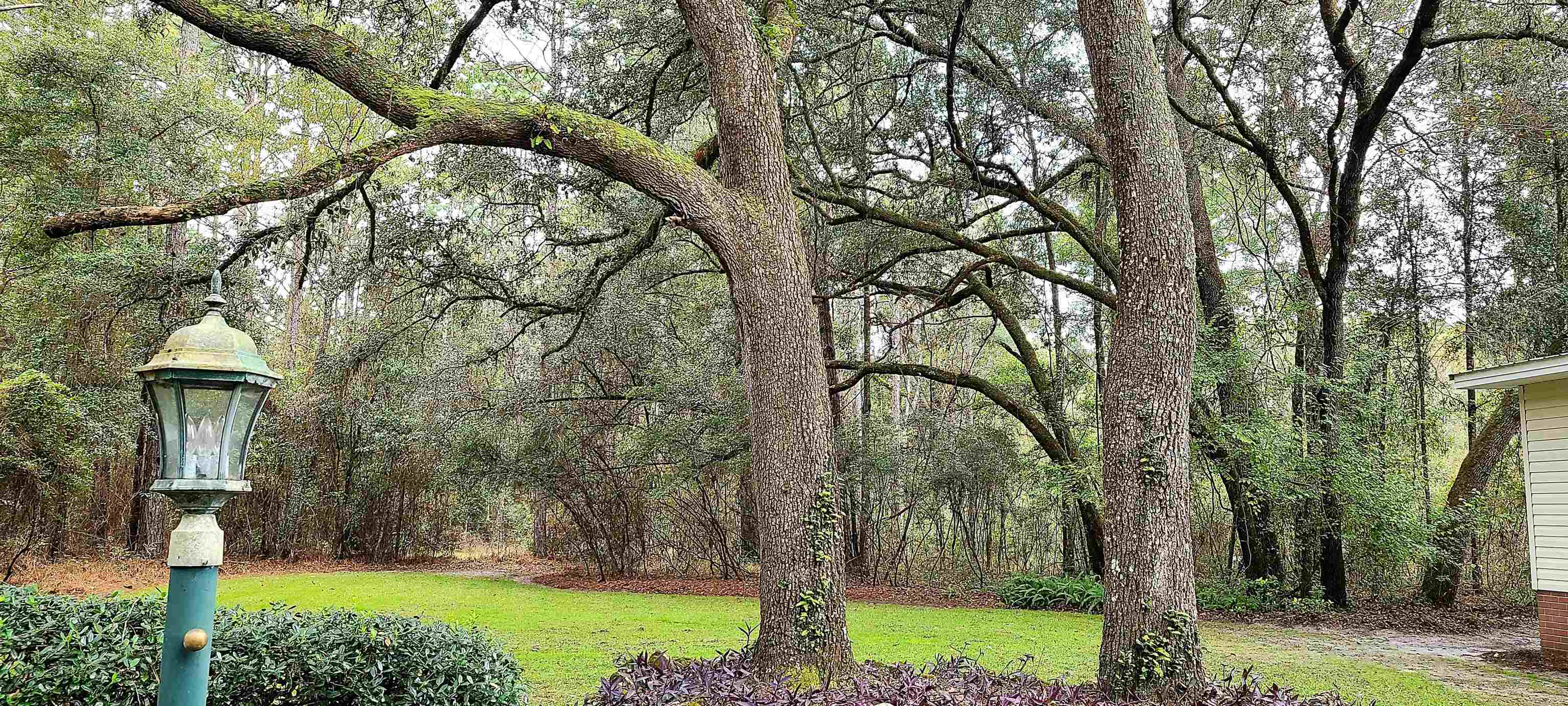 22945 Roxie Road Live Oak, FL 32060 - Photo 27 of 36 Gallery Image 27