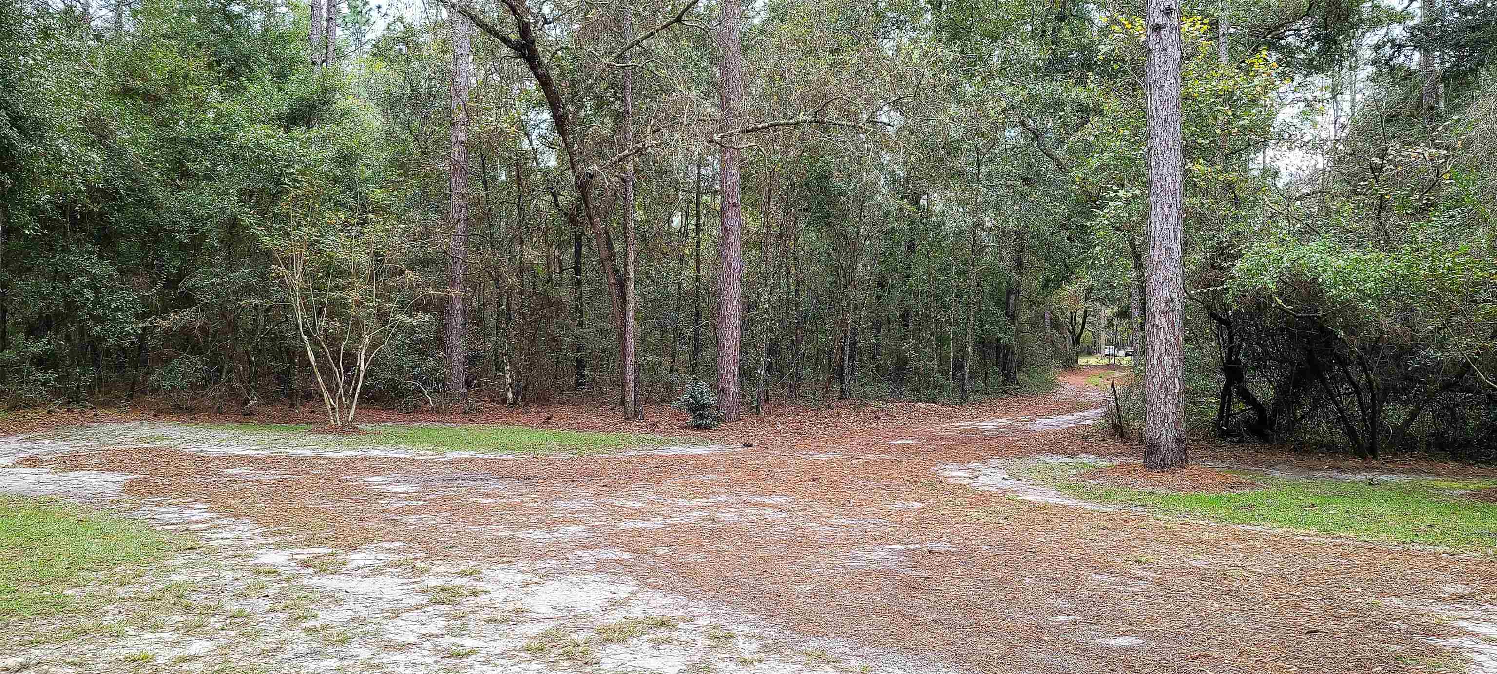 22945 Roxie Road Live Oak, FL 32060 - Photo 34 of 36 Gallery Image 34