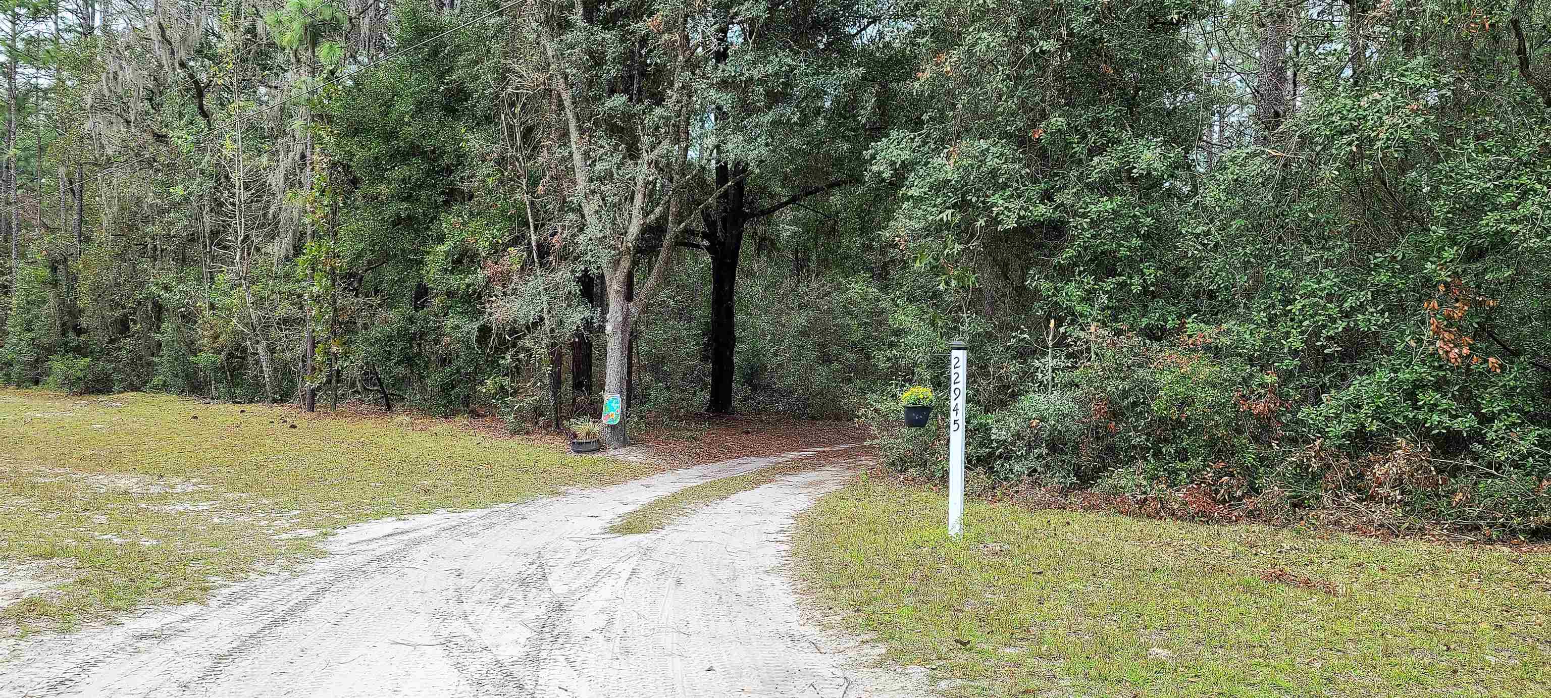 22945 Roxie Road Live Oak, FL 32060 - Photo 8 of 36 Gallery Image 8