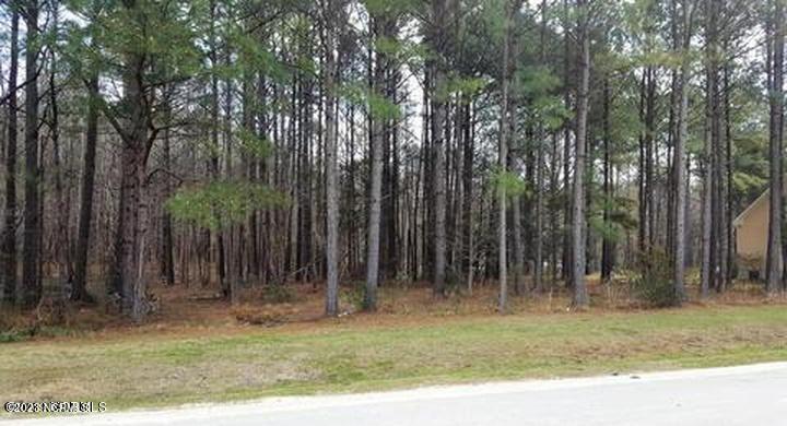 67 Iris Way Hampstead, NC 28443 - Photo 2 of 18 4