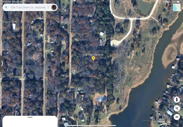 a picture of a tree in a backyard