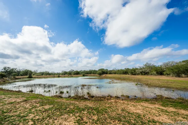 a view of a lake from a yard