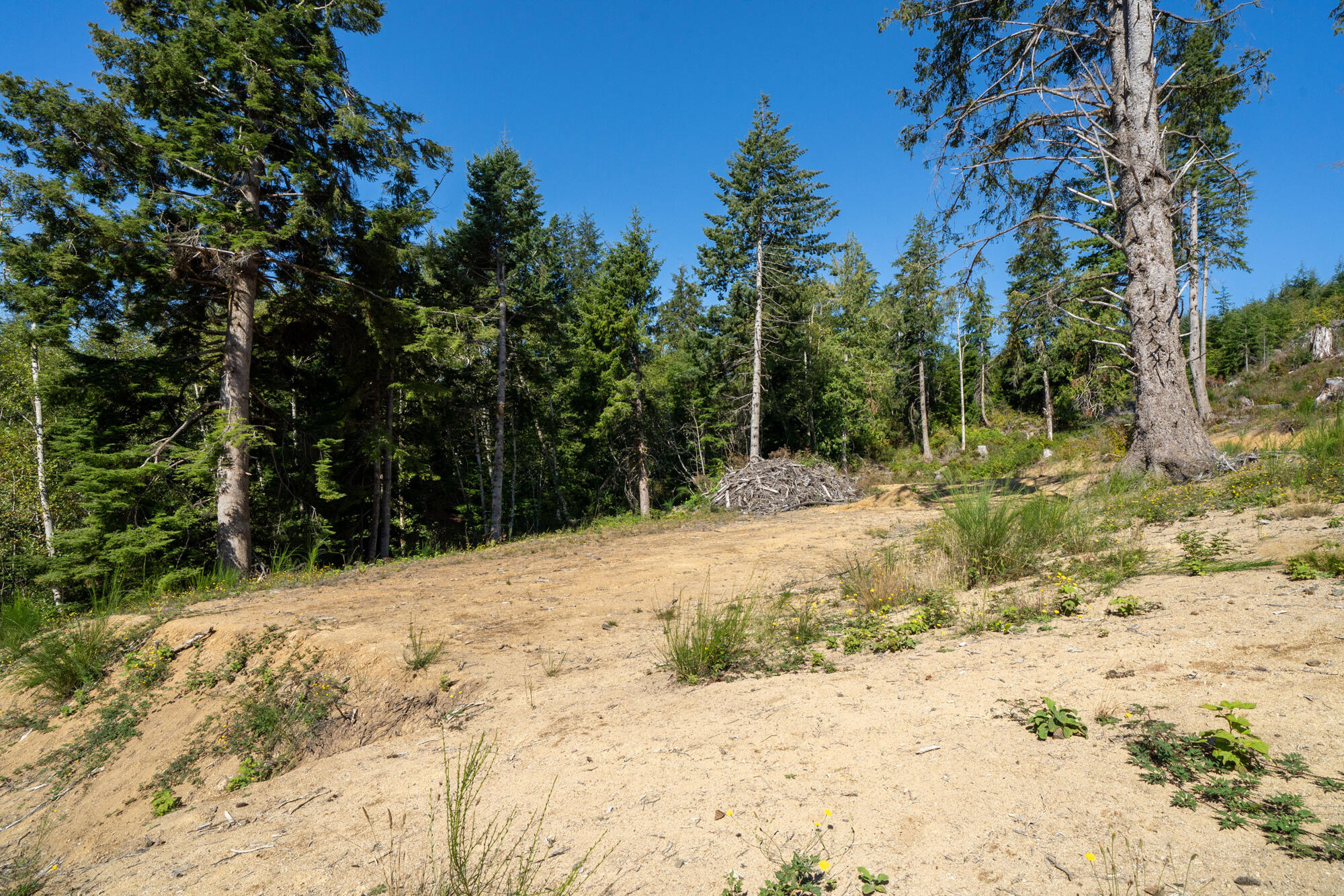 1207 Sandlake Road Cloverdale, OR 97112 - Photo 22 of 33 Aerial of Lots