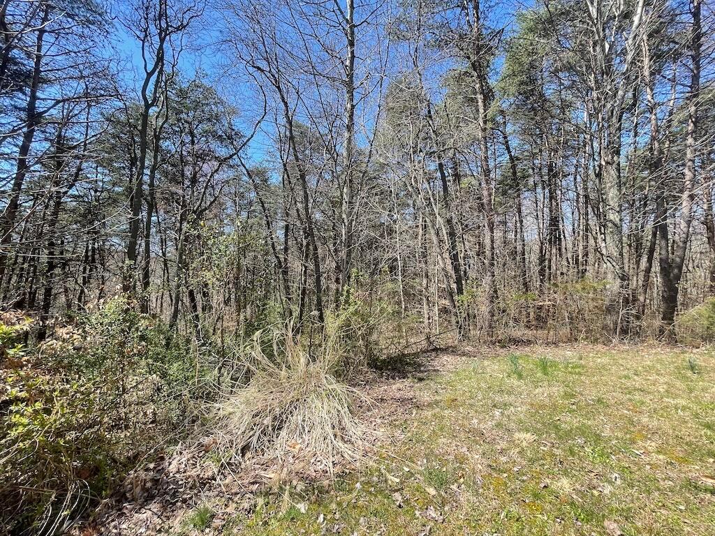 19707 Rauber Road Logan, OH 43138 - Photo 10 of 80 IMG_0766