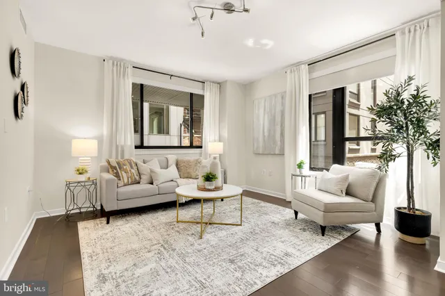 a living room with furniture and a potted plant