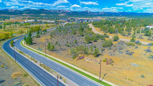 a view of a swimming pool with a garden
