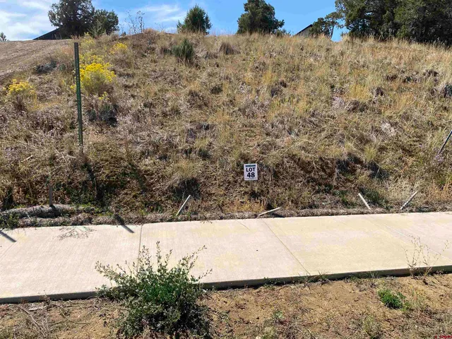 a view of a dry yard with wooden fence