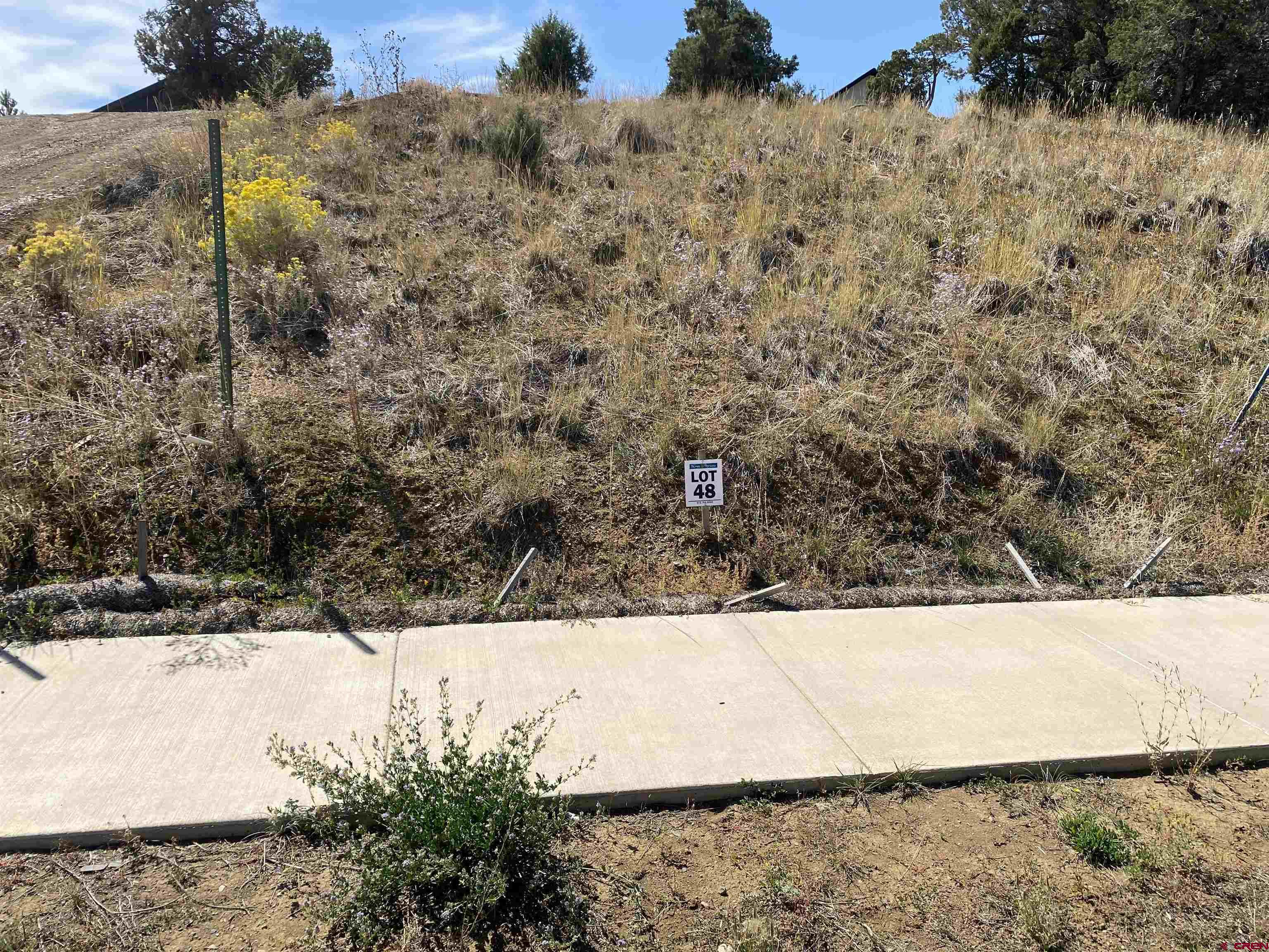 481 Oxbow Circle Durango, CO 81301 - Photo 4 of 16 a view of a yard covered with snow in the background