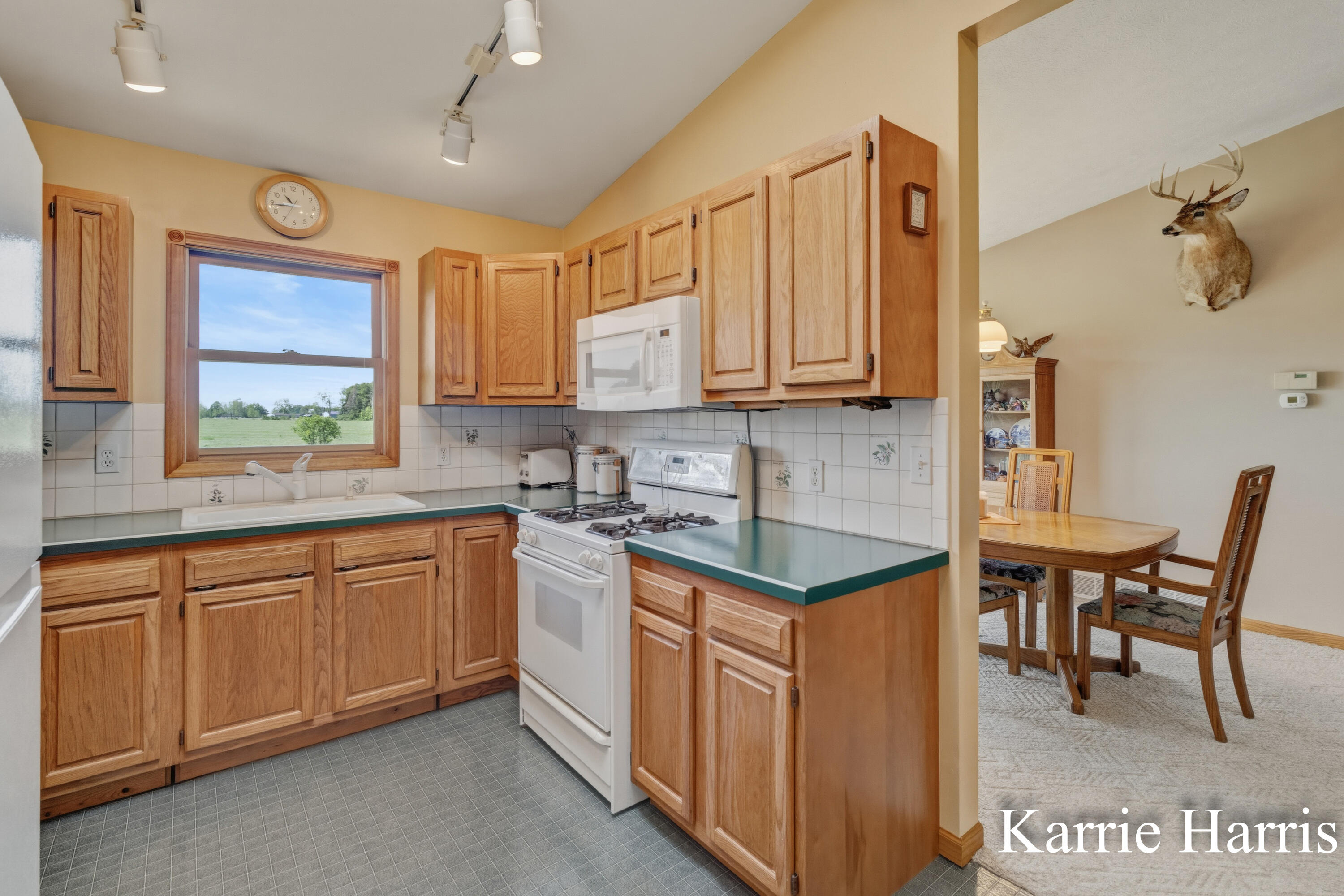 6048 Cedar Lake Road Southeast Sheridan, MI 48884 - Photo 12 of 39 Kit/Dr