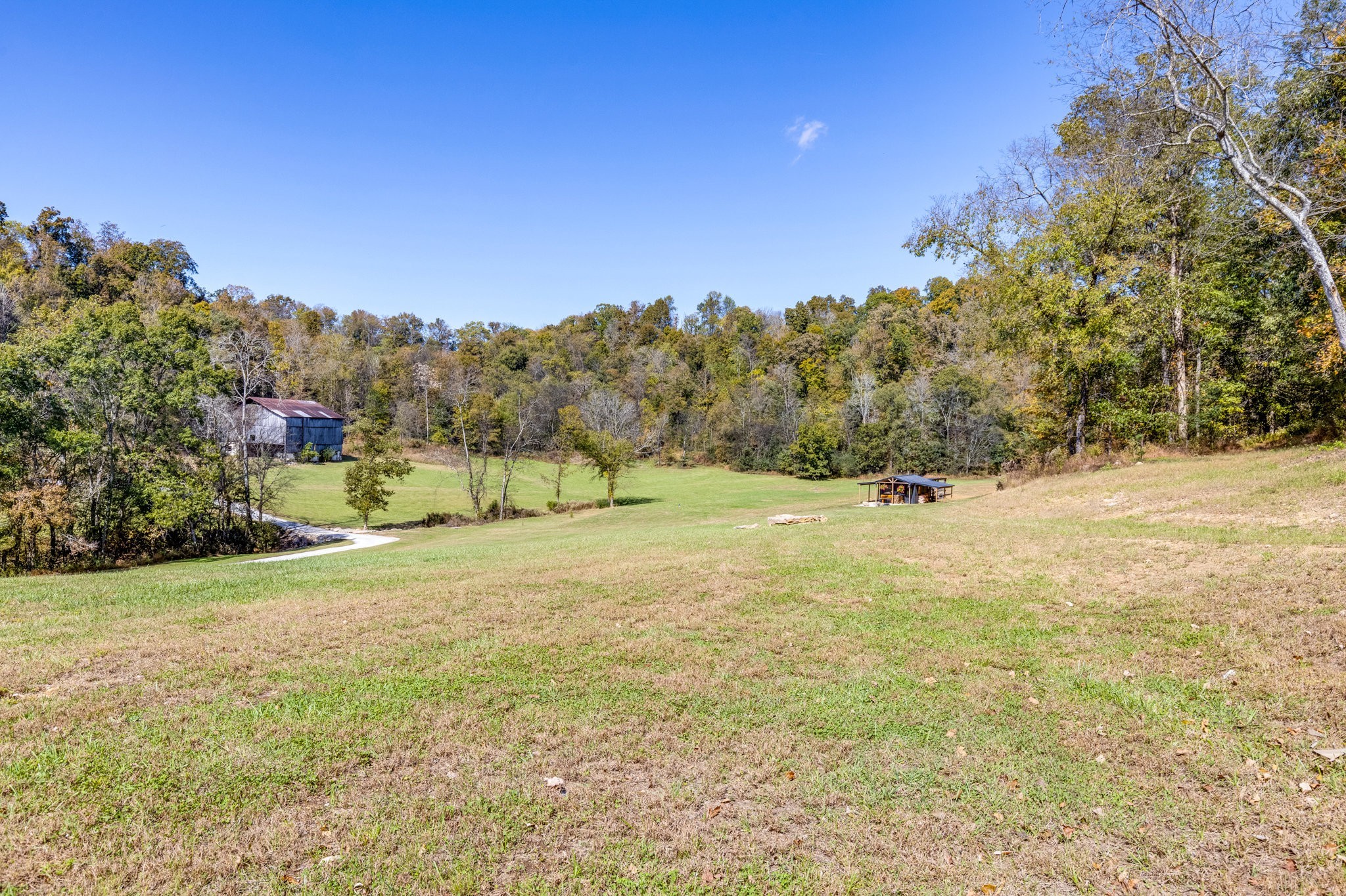 564 Mt Olive Cemetery Road Lynnville, TN 38472 - Photo 52 of 96 a view of a field with a tree in the background