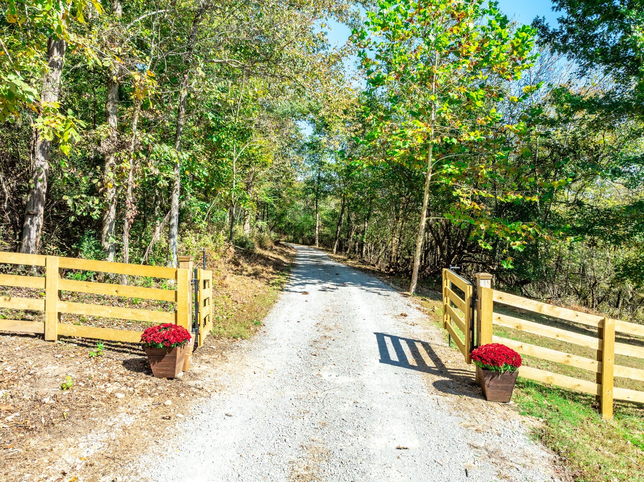 564 Mt Olive Cemetery Road Lynnville, TN 38472 - Photo 63 of 96