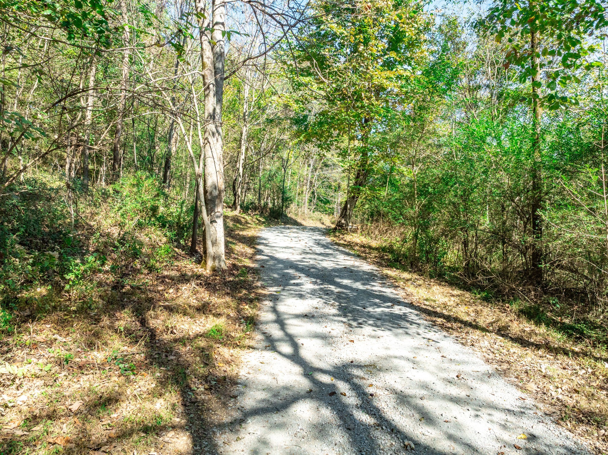 564 Mt Olive Cemetery Road Lynnville, TN 38472 - Photo 65 of 96