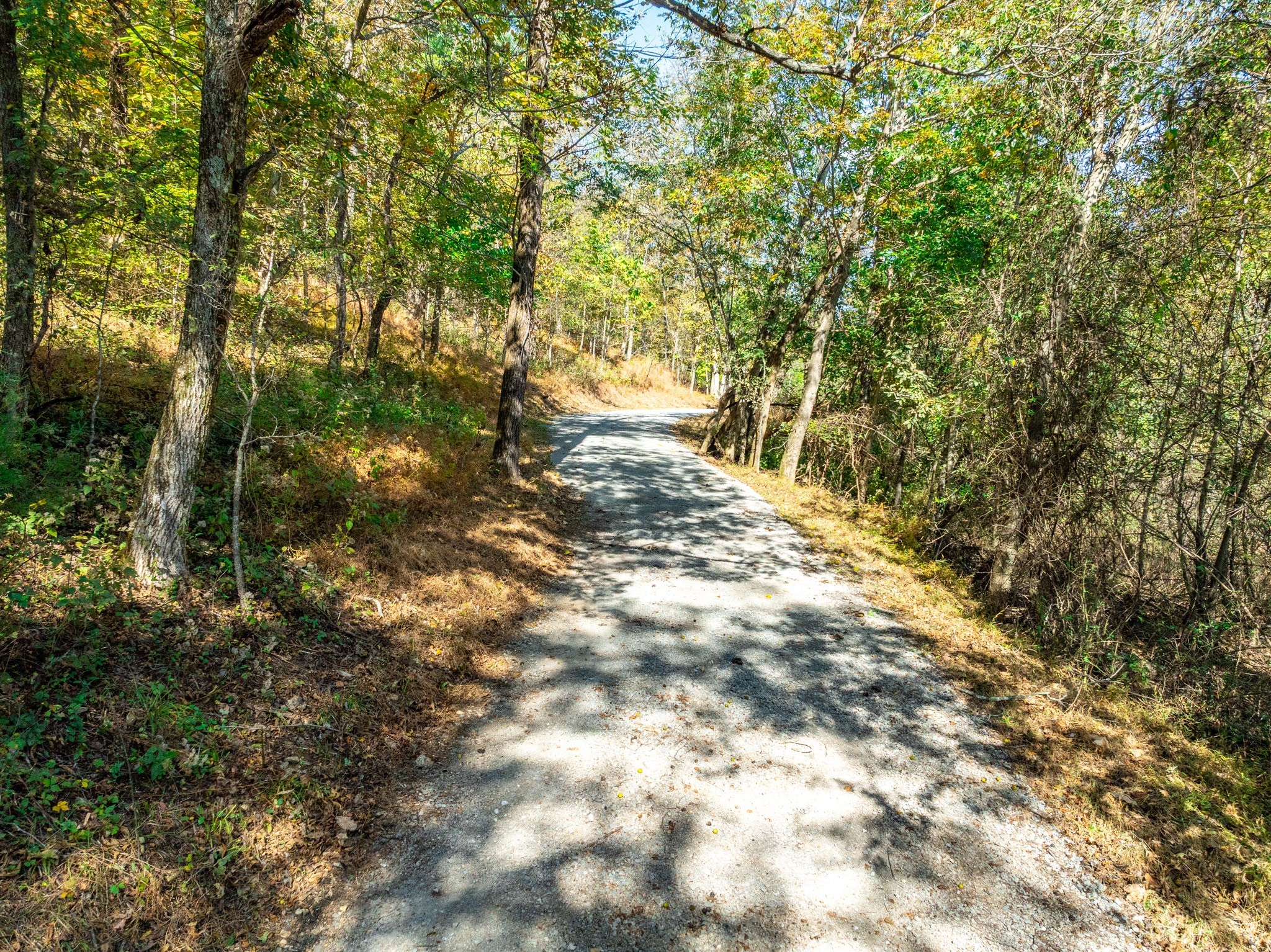 564 Mt Olive Cemetery Road Lynnville, TN 38472 - Photo 67 of 96 a view of yard