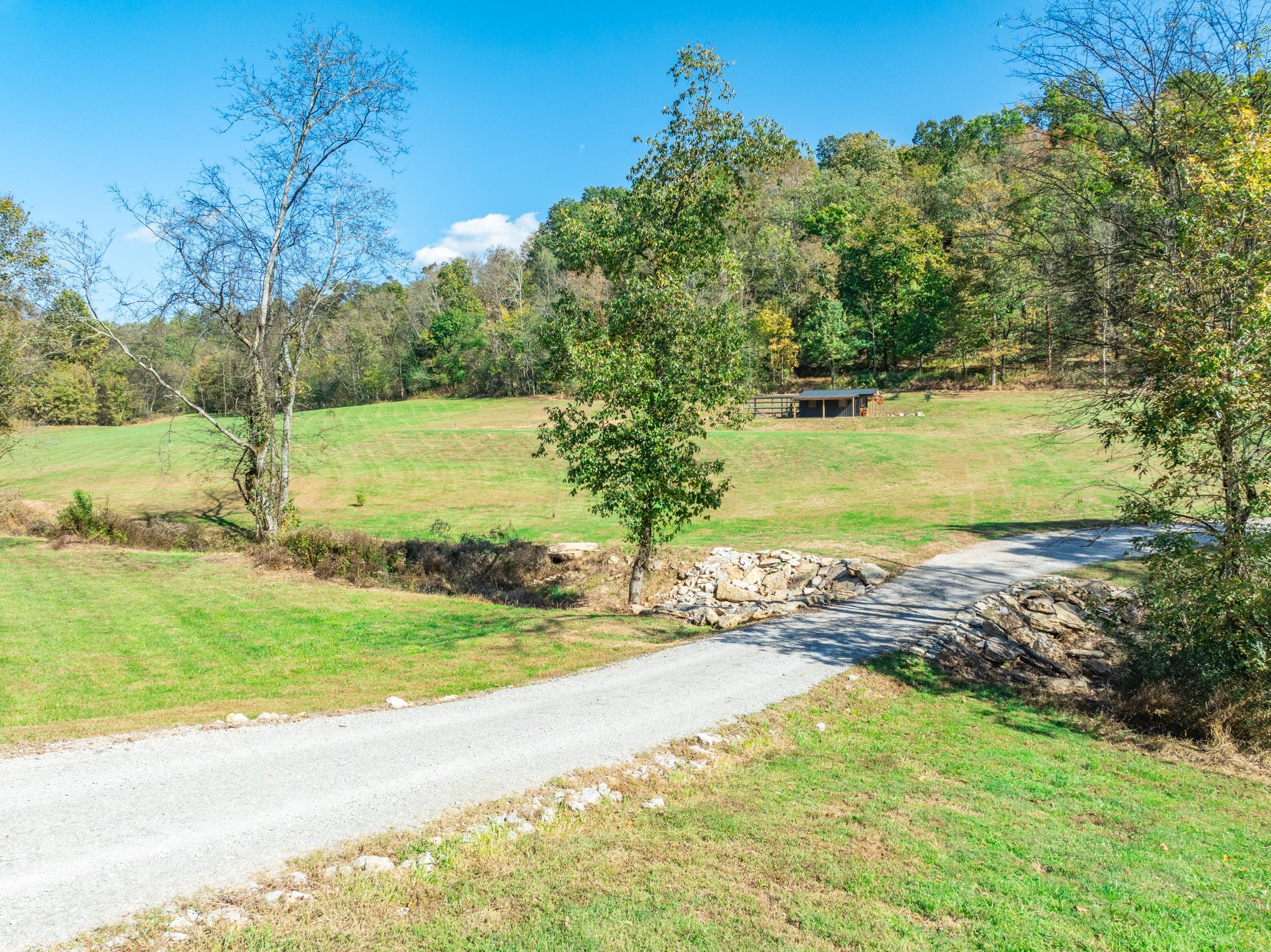 564 Mt Olive Cemetery Road Lynnville, TN 38472 - Photo 71 of 96 a view of a yard with an outdoor space