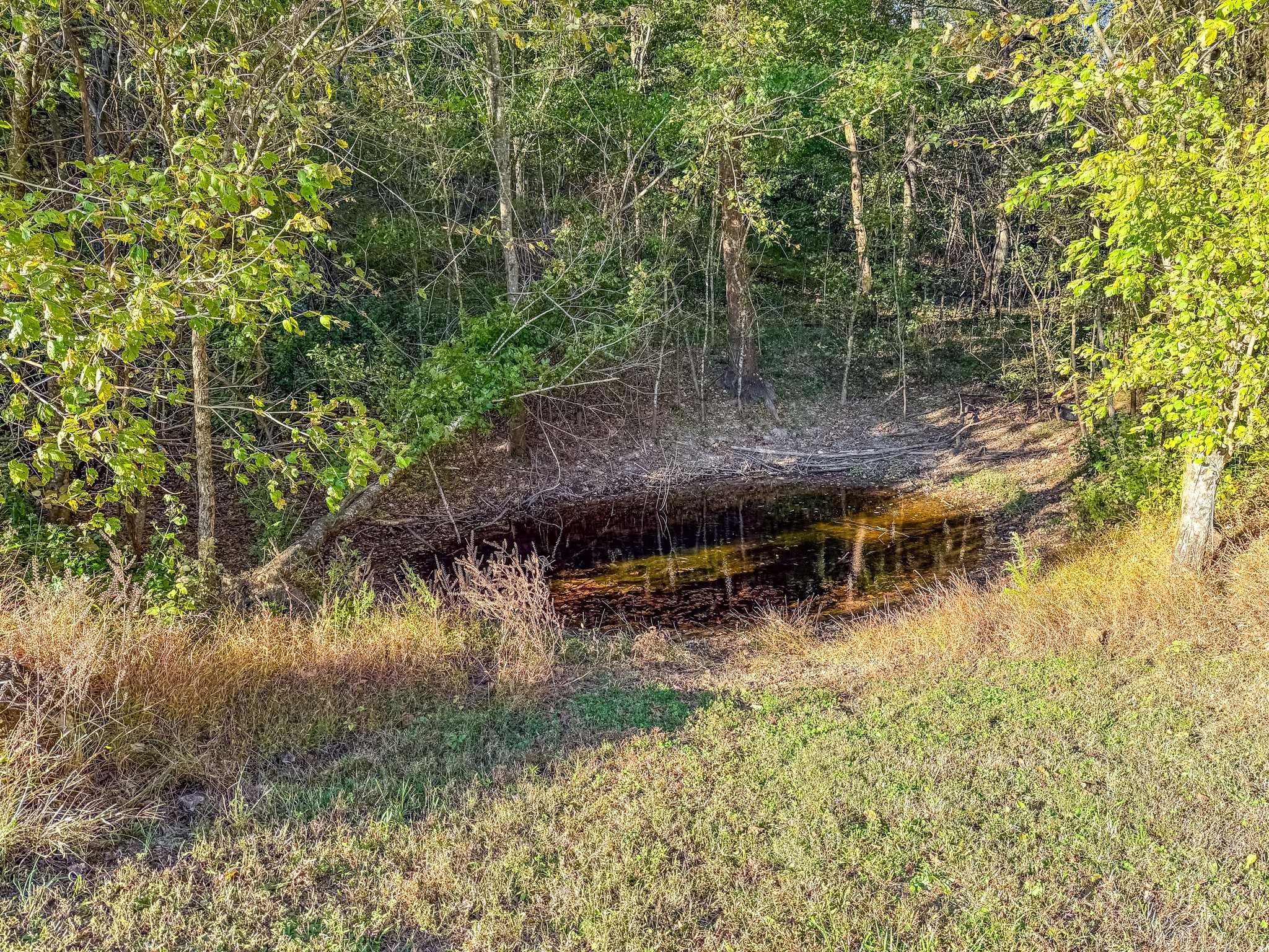 564 Mt Olive Cemetery Road Lynnville, TN 38472 - Photo 94 of 96