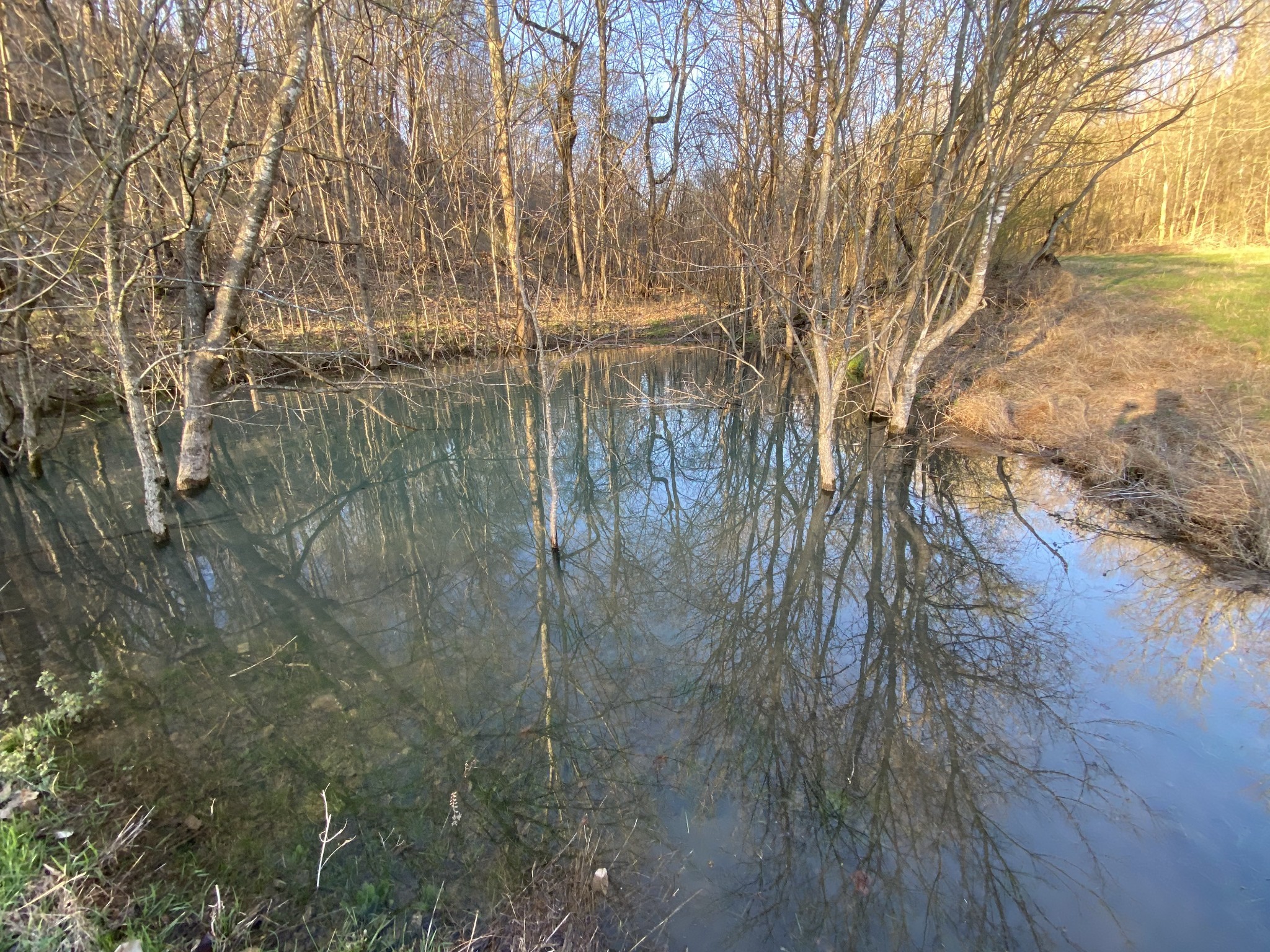564 Mt Olive Cemetery Road Lynnville, TN 38472 - Photo 96 of 96 a backyard of a house