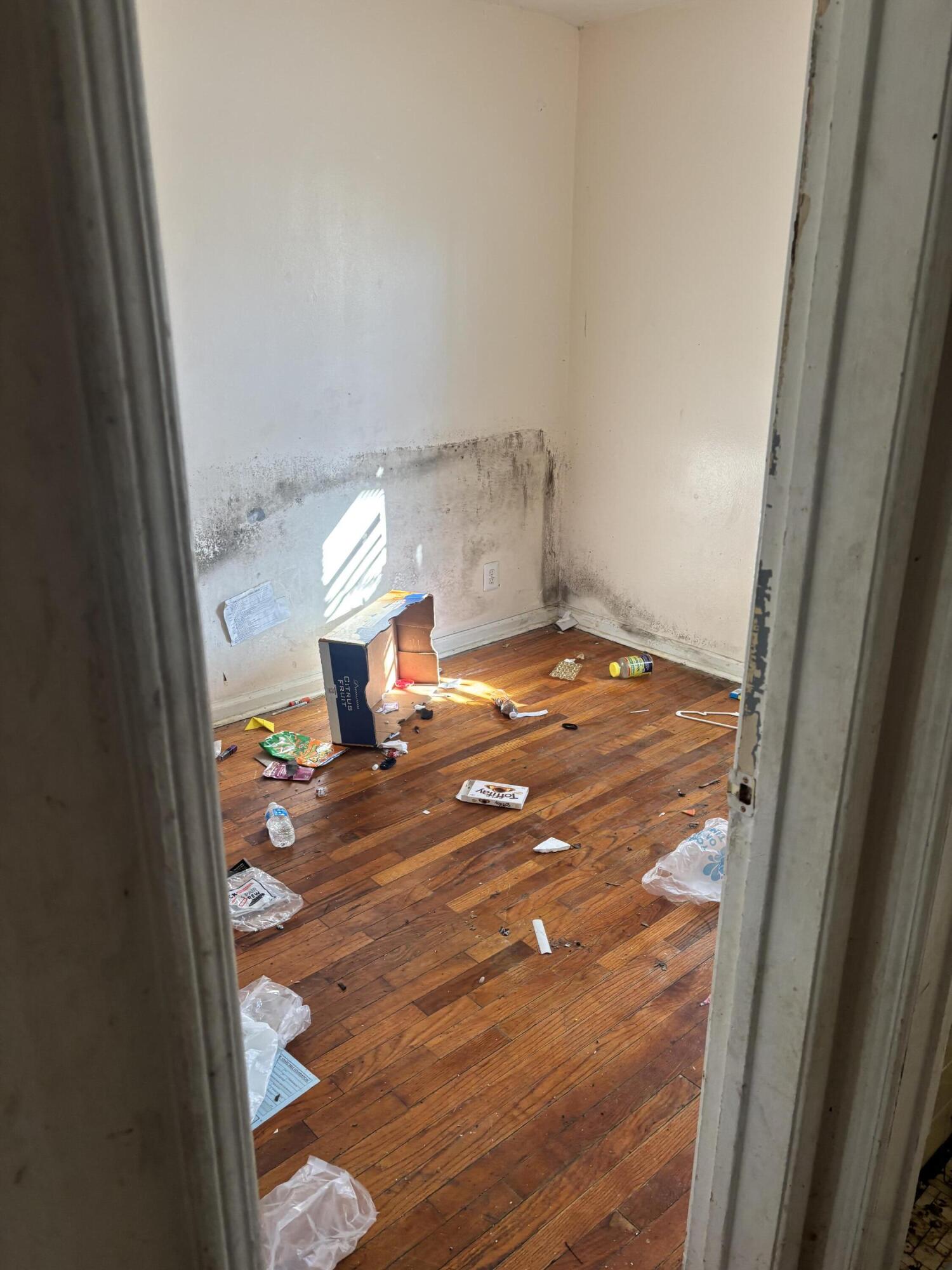 16232 Manning Street Detroit, MI 48205 - Photo 3 of 9 IMG_5749