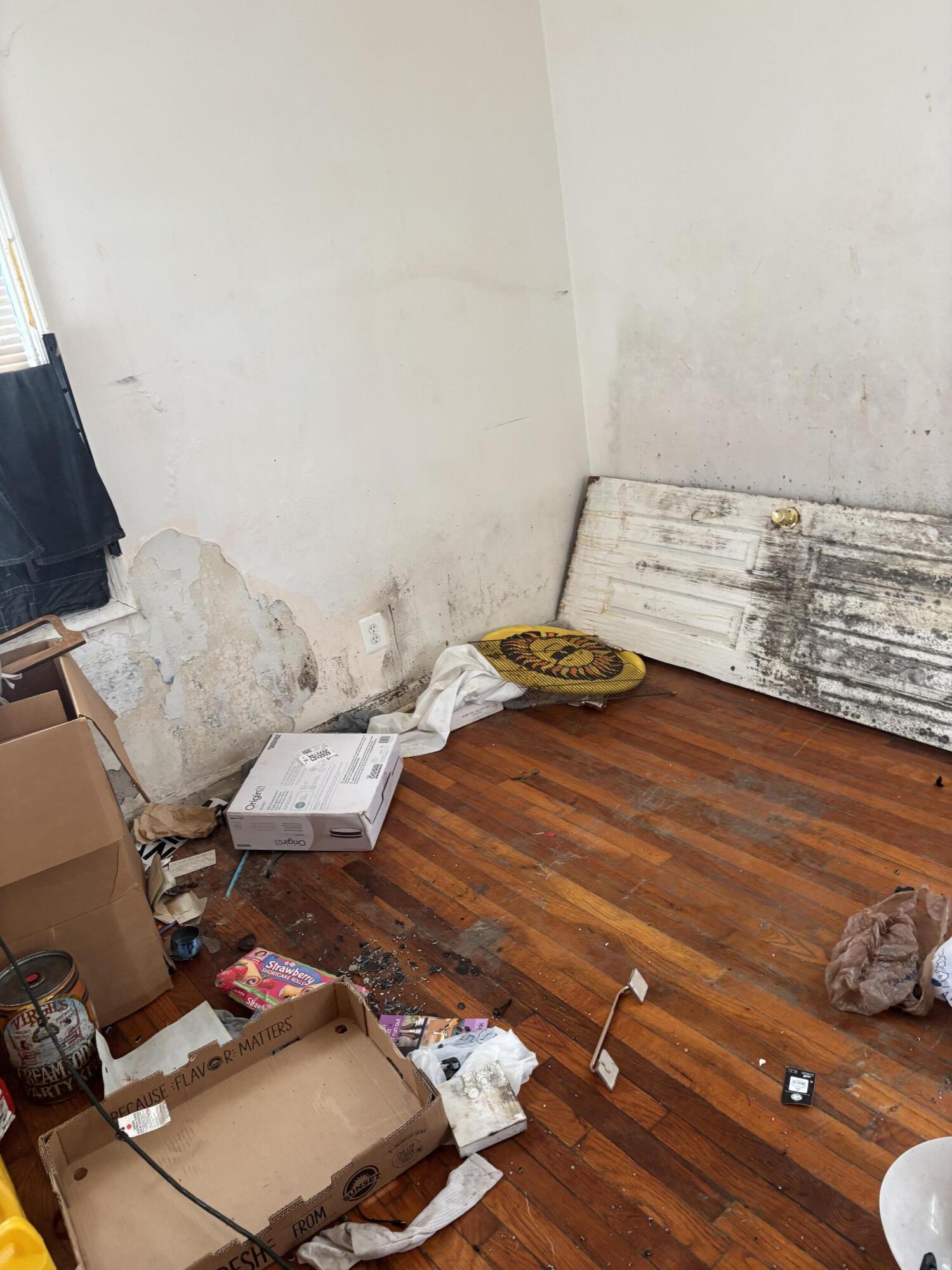 16232 Manning Street Detroit, MI 48205 - Photo 4 of 9 IMG_5754