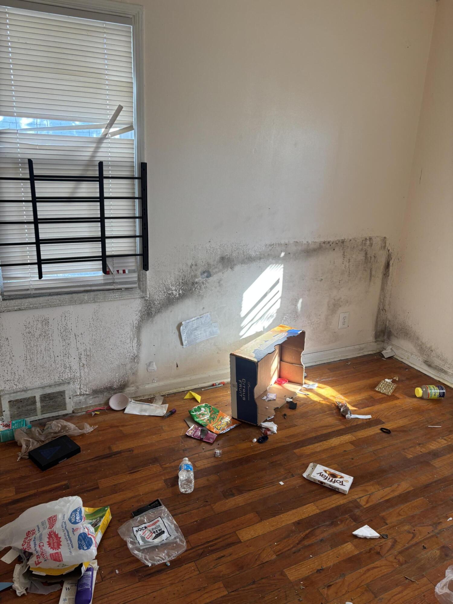 16232 Manning Street Detroit, MI 48205 - Photo 7 of 9 IMG_5751