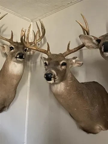 $1,224,500 | 25 South Electra Tx 76360, Electra, TX 76360