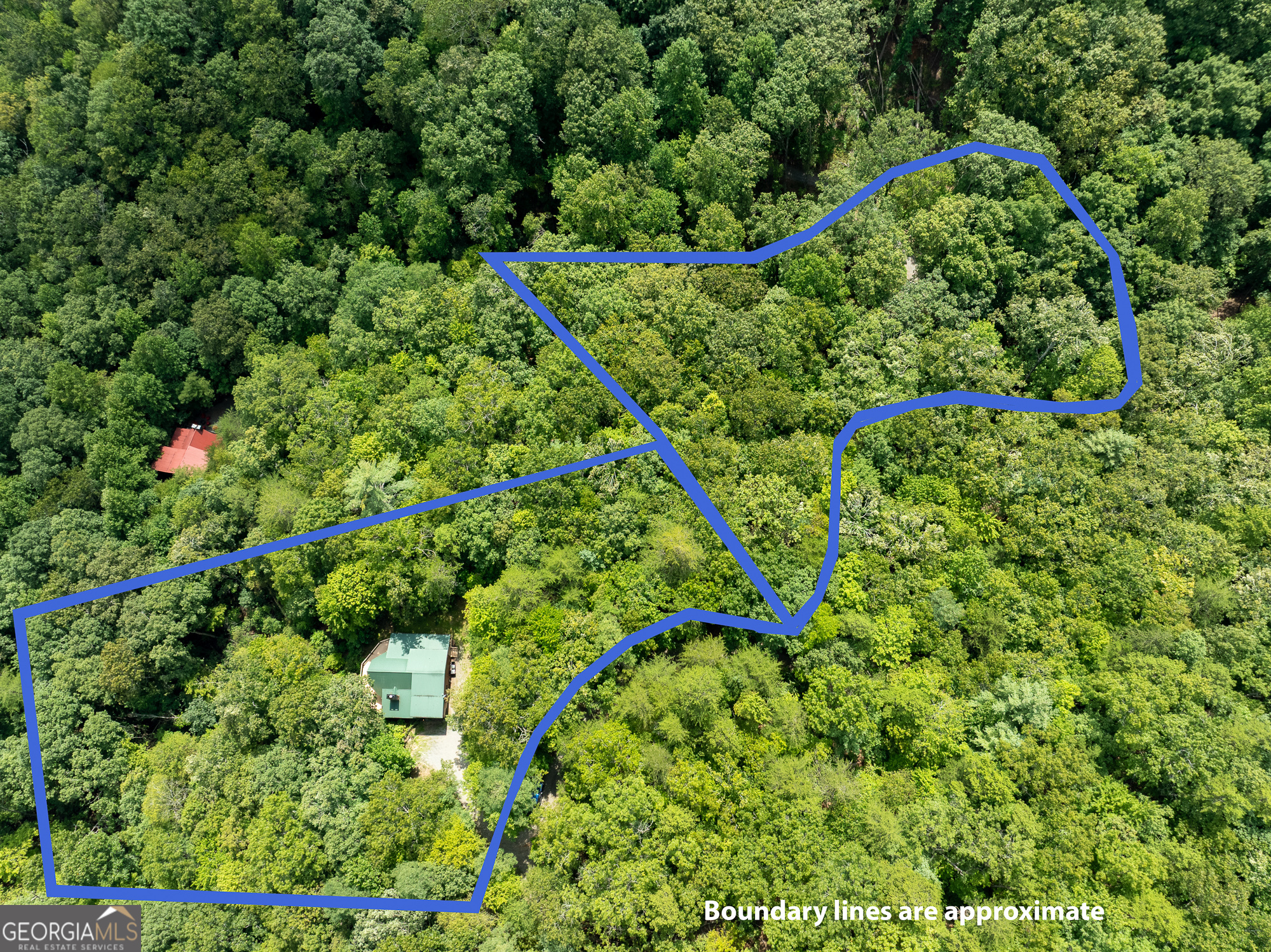 476 Prince Mountain Road Cherry Log, GA 30522 - Photo 2 of 80 UNRESTRICTED To Build Or Sell!