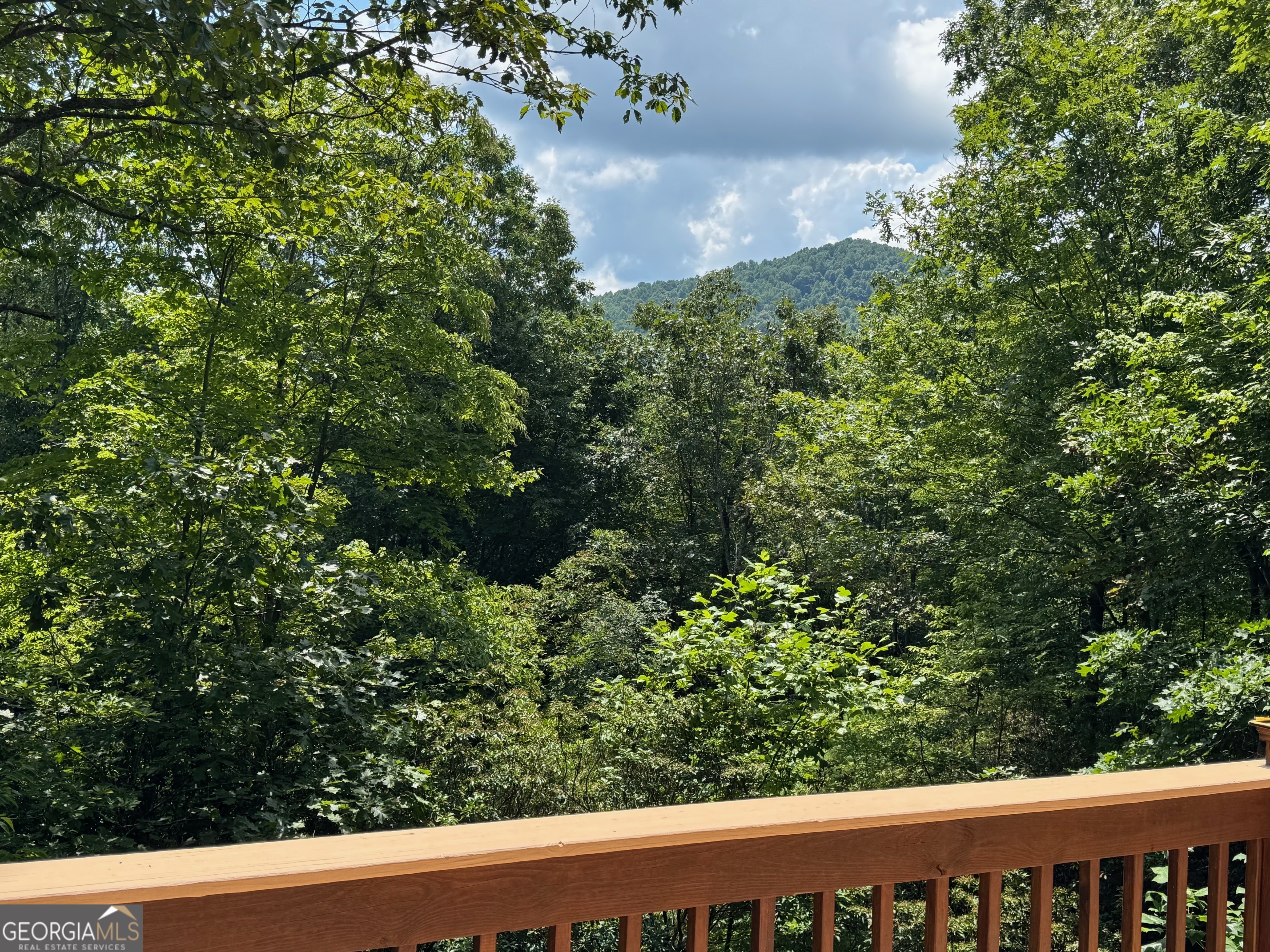 476 Prince Mountain Road Cherry Log, GA 30522 - Photo 55 of 80