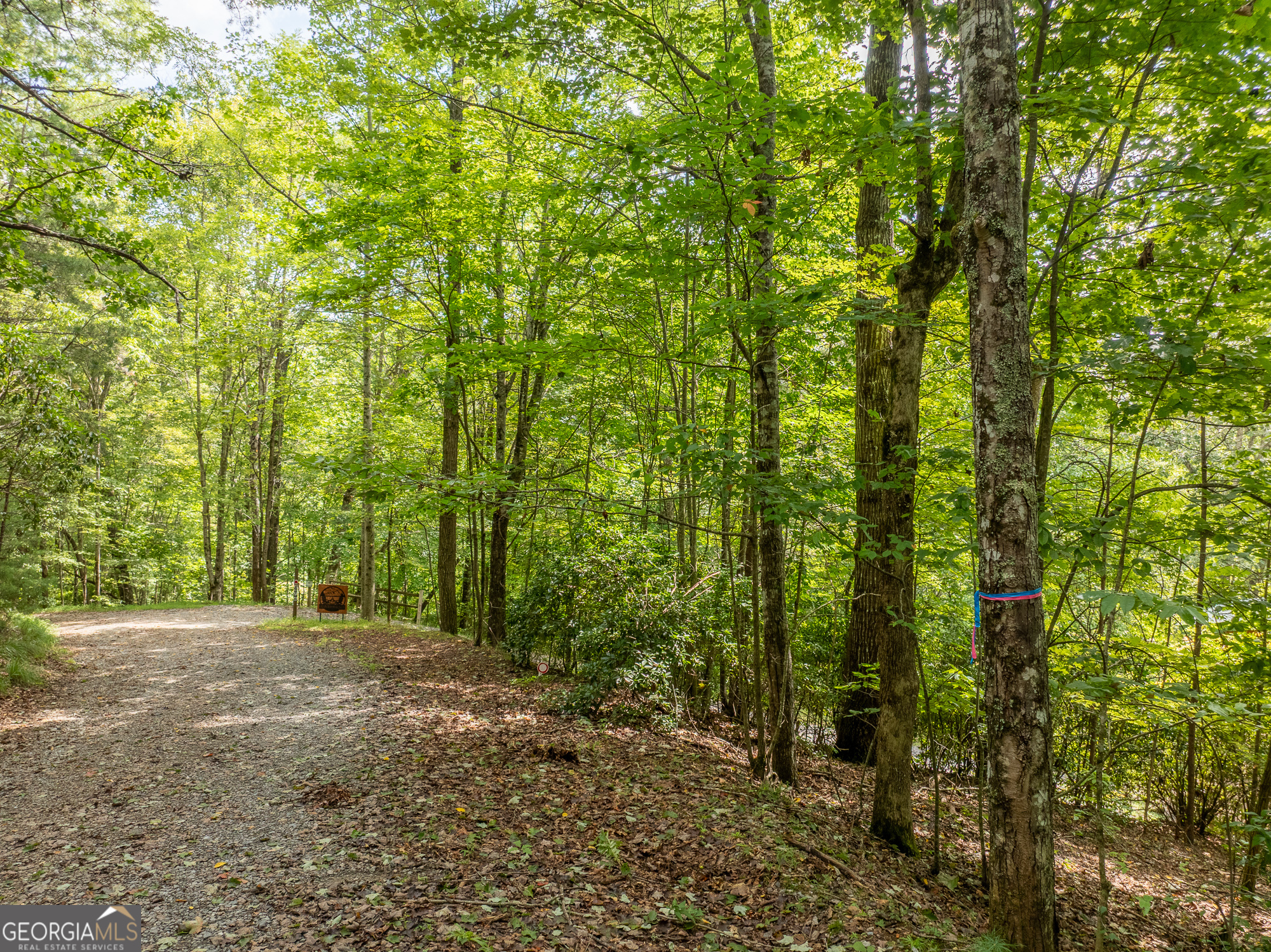 476 Prince Mountain Road Cherry Log, GA 30522 - Photo 67 of 80